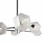 Светильник Floristic 30Вт G9х6 IP20 потолочн. Freya FR5328CL-06B