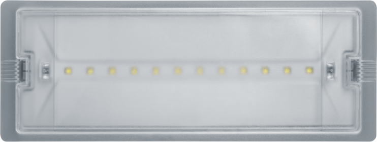 Светильник светодиодный 95 290 NEF-19 6Вт IP65 100лм 220-240В аккум. LiFePO4 600mAh аварийно-эвакуационный Navigator 95290