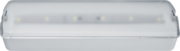 Светильник светодиодный 95 294 NEF-21 5Вт 300лм 220-240В IP20 акк. LiFePO4 1800мА.ч аварийно-эвакуационный NAVIGATOR 95294