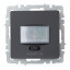 Датчик движения BRITE ДС10-1-БрГ механизм графит IEK BR-MS10-N-150-05-K53