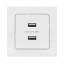 Розетка USB 2-м Стокгольм 2.1А механизм бел. PROxima EKF EYR16-028-10-2USB