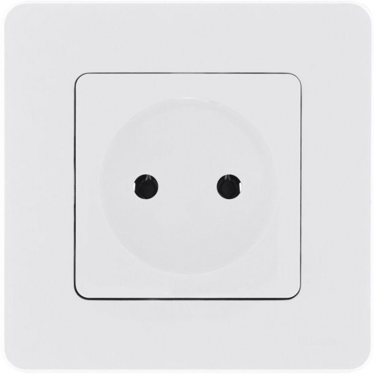 Розетка 1-м СП Inspiria 16А IP20 250В 2P механизм бел. Leg 673710