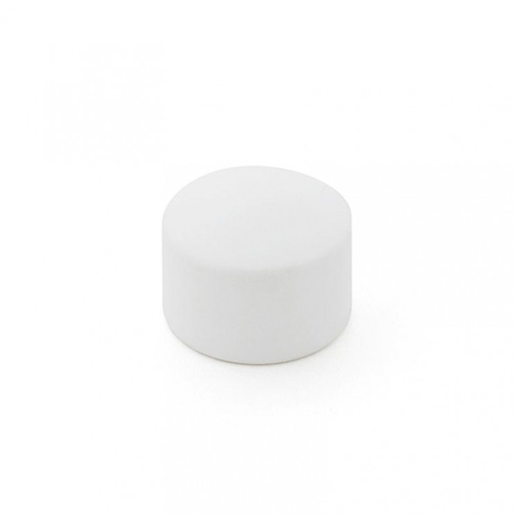 Заглушка PPR 25 PN25 бел. RTP 10549