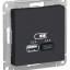 Розетка USB AtlasDesign тип A+C 5В/2.4А 2х5В/1.2А механизм карбон SE ATN001039